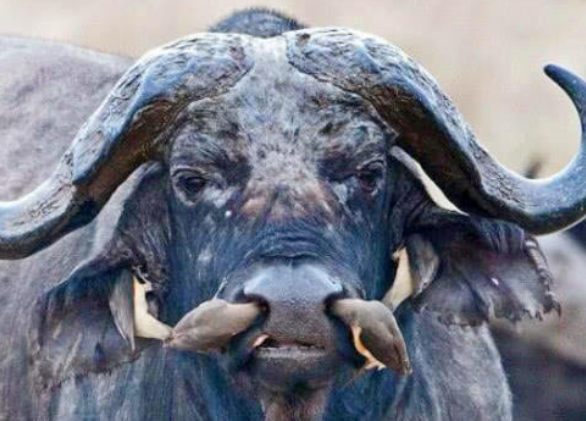 78fb05488c53c699b88c9b3f0b3d27bd.png 78fb05488c53c699b88c9b3f0b3d27bd.png